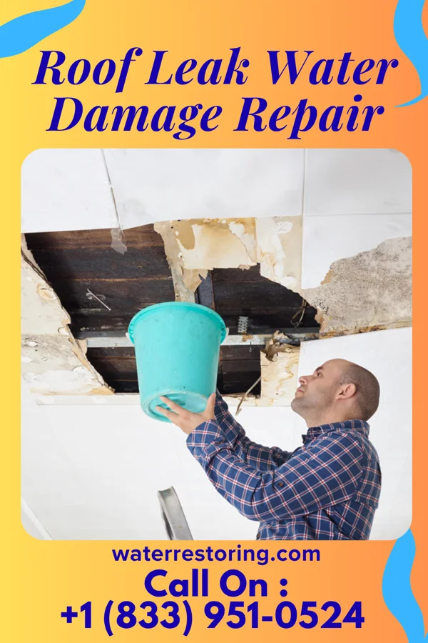 Roof Leak Water Damage Repair in Munich, ND